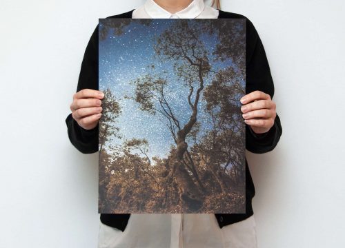 Pale Grain + The Loppist